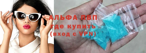 стаф Алексин
