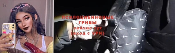 стаф Алексин