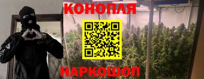 каннабис Шелехов