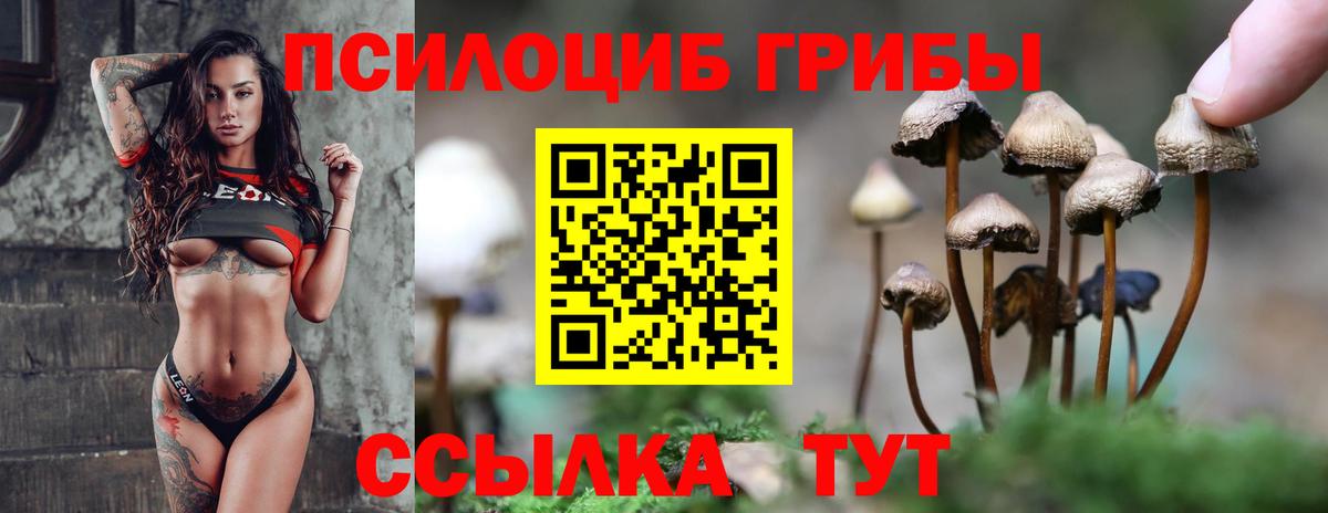 Псилоцибиновые грибы MAGIC MUSHROOMS Одинцово